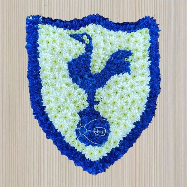 TOTTENHAM BADGE