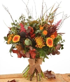 AUTUMN COLLECTION