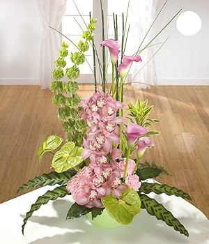 Sophistication arrangement