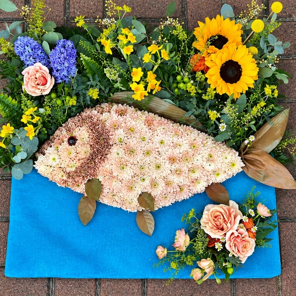 2D CARP FISH