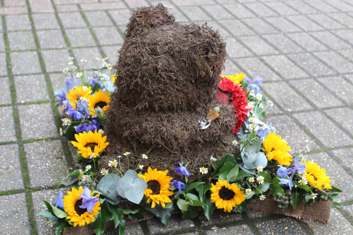 3D TEDDY   SUNFLOWER