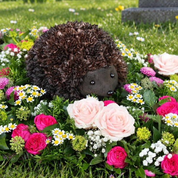 HEDGEHOG 3D