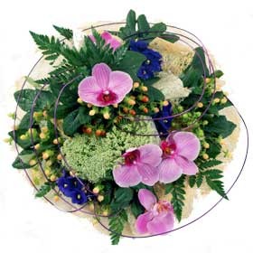 PP6 VIBRANT POSY PAD