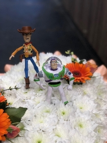 TOY STORY HEART