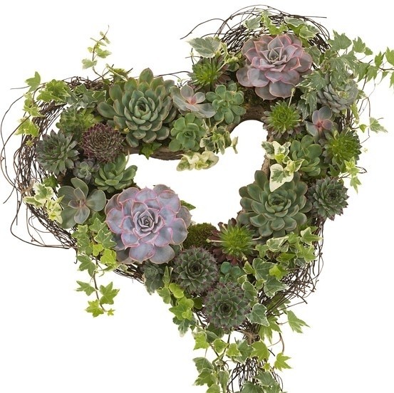 HE11 Succulent Heart