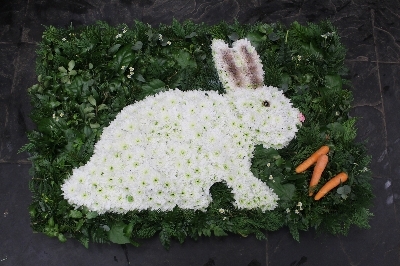 2D Bunny Rabbit