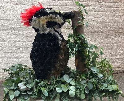 3D Woodpecker