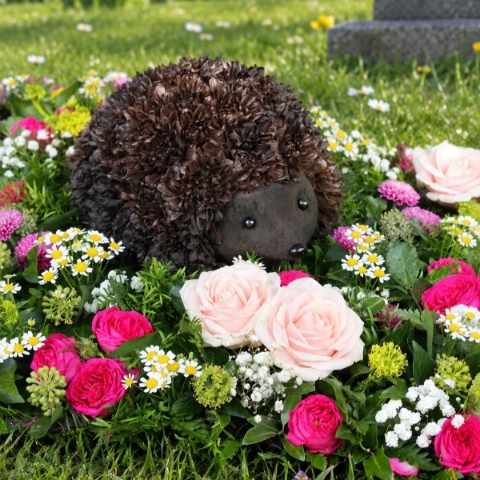 HEDGEHOG 3D