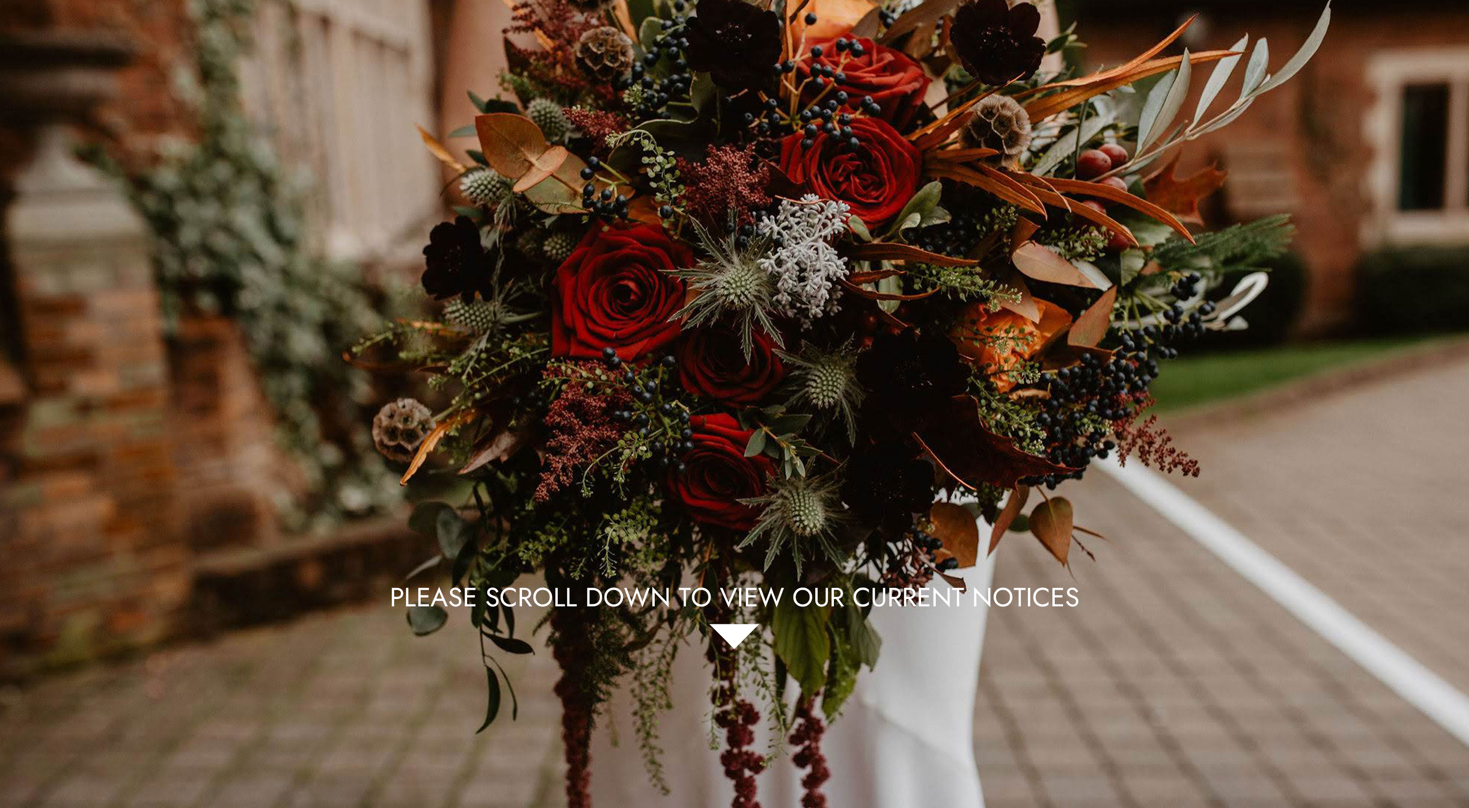 Home Elizabeths the Florists Norwich Norfolk