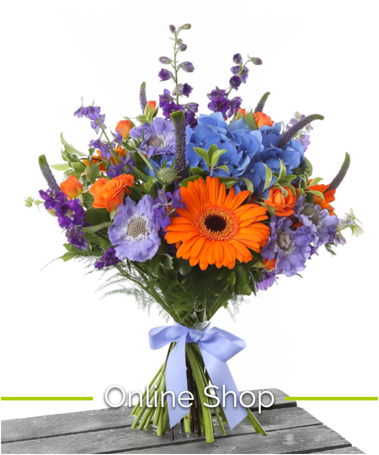 Home Elizabeths the Florists Norwich Norfolk